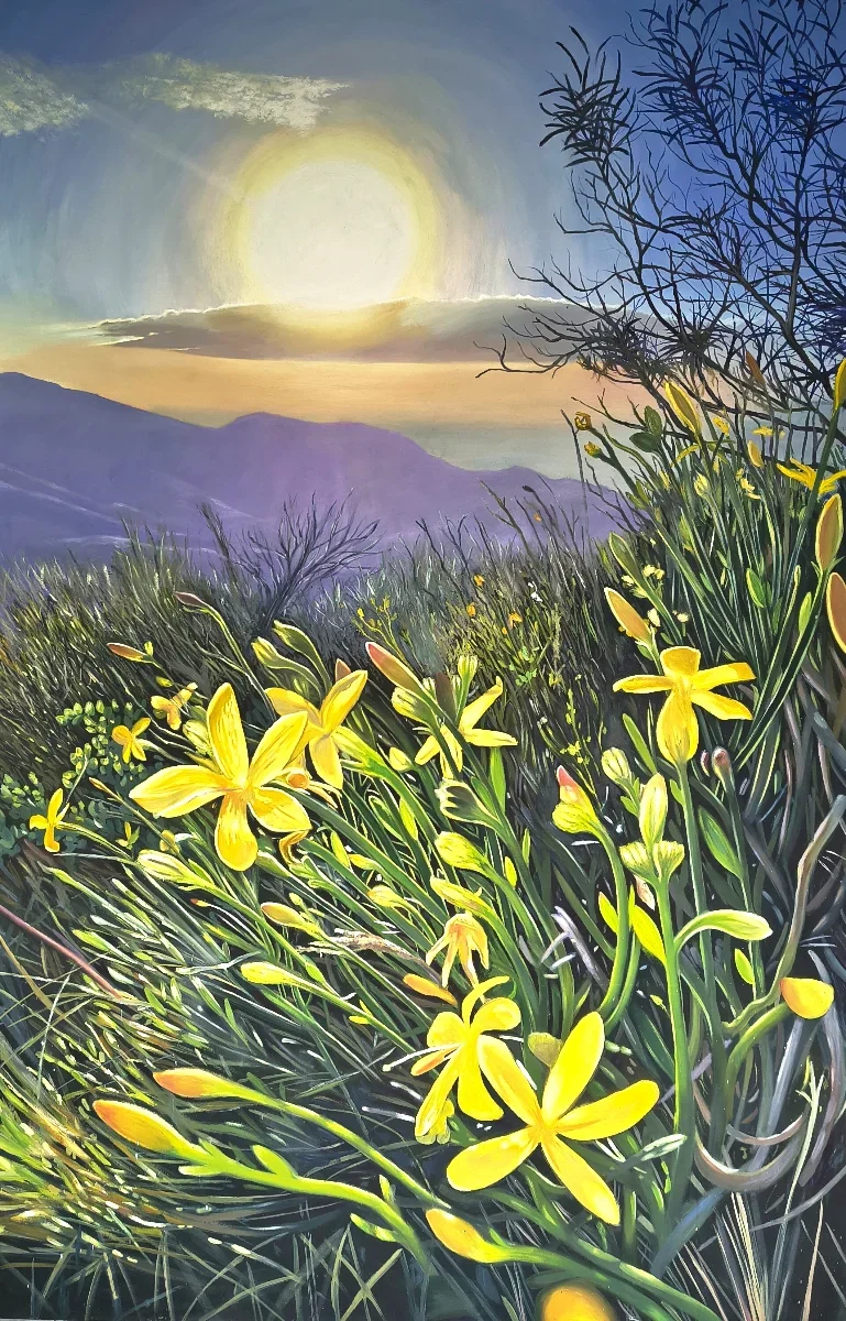 Amanecer en el cerro
